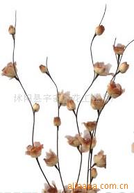 供應葉脈花、龍柳、三叉木、龍桑、蘆葦專業指南